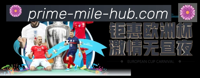 互动解说服务